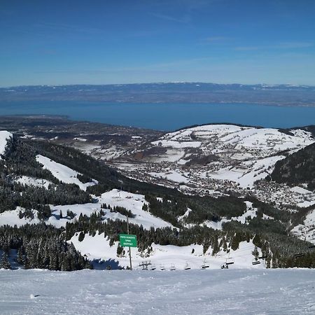 Appartement T2 A Bernex Avec Wifi, Vue Sur Montagne Екстер'єр фото