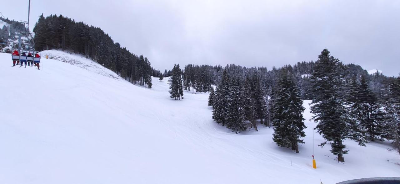 Appartement T2 A Bernex Avec Wifi, Vue Sur Montagne Екстер'єр фото